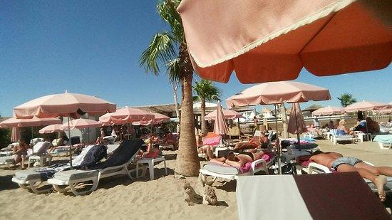 La Rose des Sables